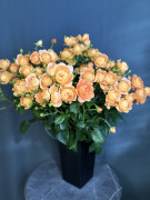Пионовидная оранжевая роза
